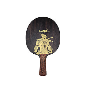 NANO300
